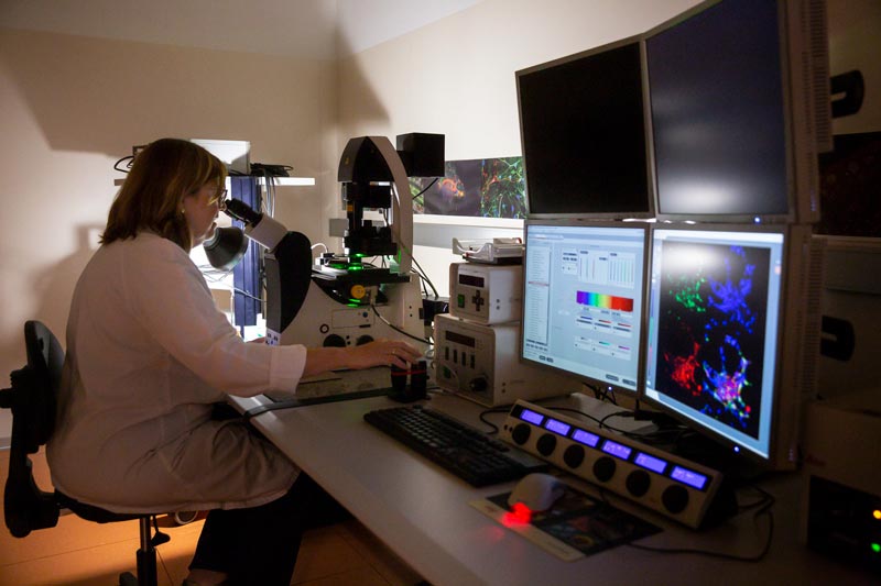 Microscopía